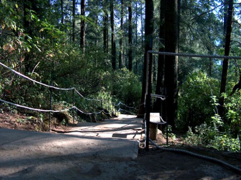 Download on Amazon.com; Barnes and Noble.com; Kobo.com and on Google Play. Search William J. Conaway.