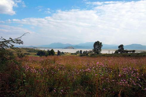 Download on Amazon.com; Barnes and Noble.com; Kobo.com and on Google Play. Search William J. Conaway.