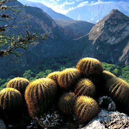 Download on Amazon.com; Barnes and Noble.com; Kobo.com (now includes sony Readers) and on Google Play. Search William J. Conaway.