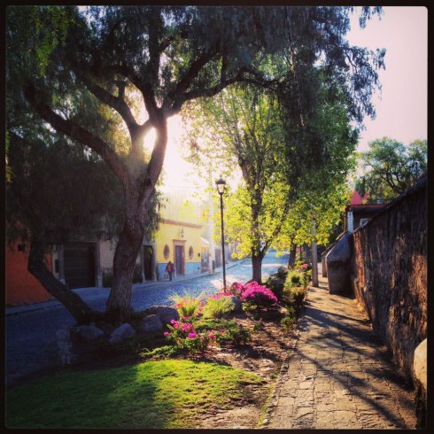 Download on Amazon.com; Barnes and Noble.com; Kobo.com (now includes sony Readers) and on Google Play. Search William J. Conaway.