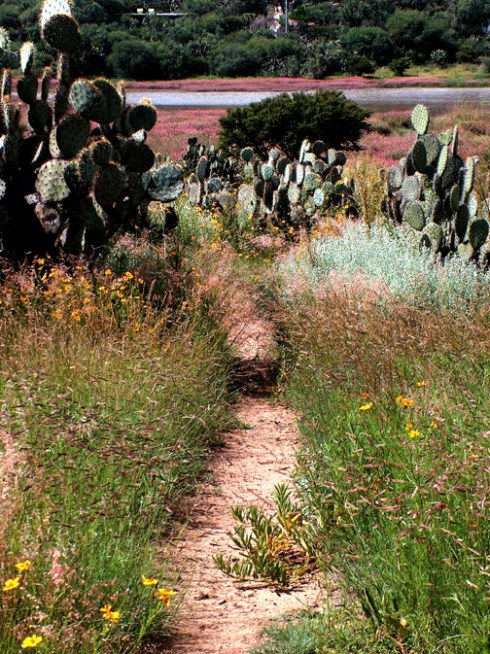 Download on Amazon.com; Barnes and Noble.com; Kobo.com (now includes sony Readers) and on Google Play. Search William J. Conaway.