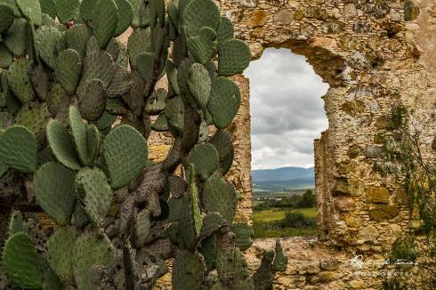 Download on Amazon.com, Amazon.com.mx; Barnes and Noble.com; Kobo.com (now includes sony Readers) and on Google Play. Search William J. Conaway.