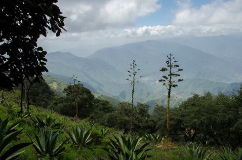 Download on Amazon.com, Amazon.com.mx; Barnes and Noble.com; Kobo.com (now includes sony Readers) and on Google Play. Search William J. Conaway.