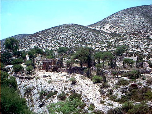 Download on Amazon.com, Amazon.com.mx; Barnes and Noble.com; Kobo.com (now includes sony Readers) and on Google Play. Search William J. Conaway.