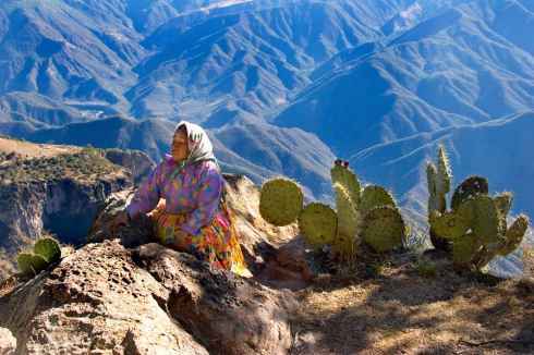 Download on Barnes and Noble.com; Kobo.com (now includes sony Readers) and on Google Play. Search William J. Conaway.