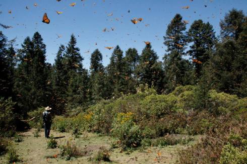 Download on Amazon.com, Amazon.com.mx; Barnes and Noble.com; Kobo.com (now includes sony Readers) and on Google Play. Search William J. Conaway.