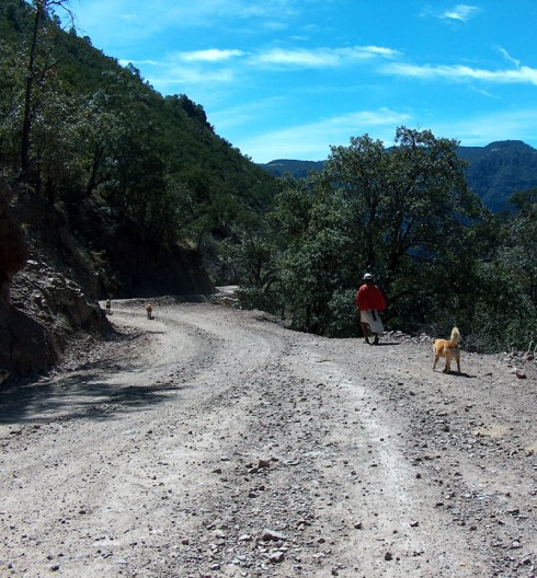 Download on Barnes and Noble.com; Kobo.com (now includes sony Readers) and on Google Play. Search William J. Conaway.