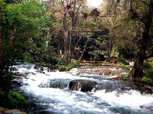 Download on Amazon.com, Amazon.com.mx; Barnes and Noble.com; Kobo.com (now includes sony Readers) and on Google Play. Search William J. Conaway.