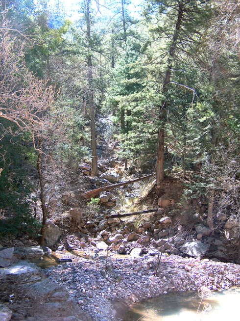 Download on Barnes and Noble.com; Kobo.com (now includes sony Readers) and on Google Play. Search William J. Conaway.