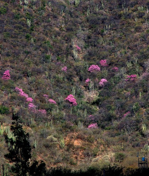 Download on Barnes and Noble.com; Kobo.com (now includes sony Readers) and on Google Play. Search William J. Conaway.