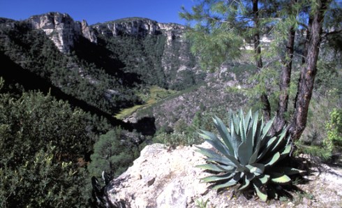 Download on Barnes and Noble.com; Kobo.com (now includes sony Readers) and on Google Play. Search William J. Conaway.