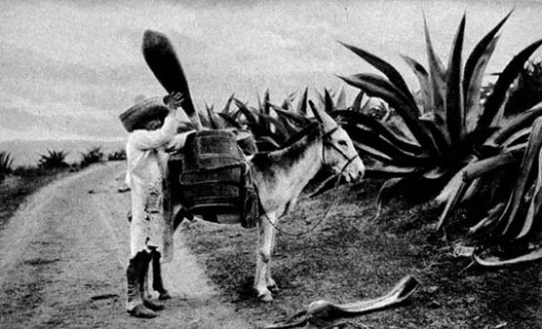 Download on Amazon.com; Amazon.com.mx; Barnes and Noble.com; Kobo.com and on Google Play. Search William J. Conaway.