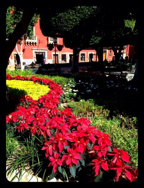 Download to your phone, tablet, laptop on Amazon.com, Amazon.com.mx; Barnes and Noble.com; Kobo.com (now includes sony Readers) and on Google Play. Search William J. Conaway.