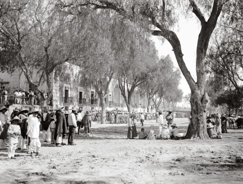 Download to your phone, tablet, laptop on Amazon.com, Amazon.com.mx; Barnes and Noble.com; Kobo.com (now includes sony Readers) and on Google Play. Search William J. Conaway.