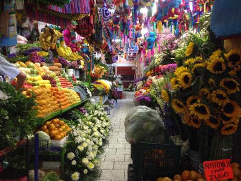 Download to your phone, tablet, laptop on Amazon.com, Amazon.com.mx; Barnes and Noble.com; Kobo.com (now includes sony Readers) and on Google Play. Search William J. Conaway.