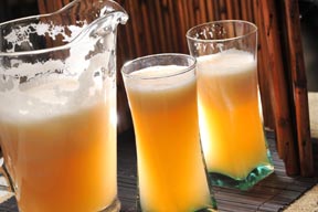 Download to your phone, tablet, laptop on Amazon.com, Amazon.com.mx; Barnes and Noble.com; Kobo.com (now includes sony Readers) and on Google Play. Search William J. Conaway.