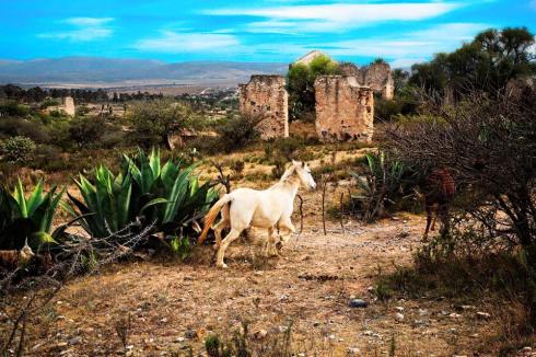 Download to your phone, tablet, laptop on Amazon.com, Amazon.com.mx; Barnes and Noble.com; Kobo.com (now includes sony Readers) and on Google Play. Search William J. Conaway.