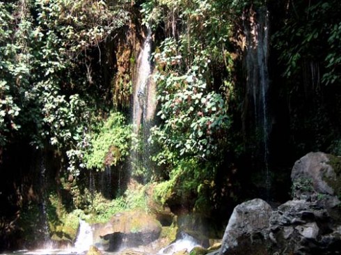 Download to your phone, tablet, laptop on Amazon.com, Amazon.com.mx; Barnes and Noble.com; Kobo.com (now includes sony Readers) and on Google Play. Search William J. Conaway.