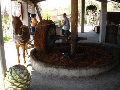 Download to your phone, tablet, laptop on Amazon.com, Amazon.com.mx; Barnes and Noble.com; Kobo.com (now includes sony Readers) and on Google Play. Search William J. Conaway.