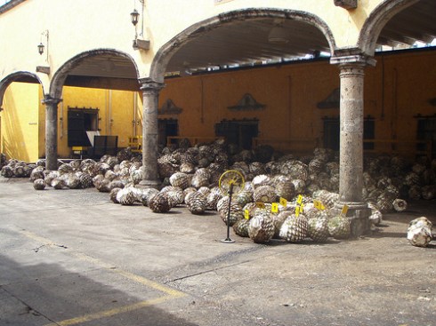 Download to your phone, tablet, laptop on Amazon.com, Amazon.com.mx; Barnes and Noble.com; Kobo.com (now includes sony Readers) and on Google Play. Search William J. Conaway.