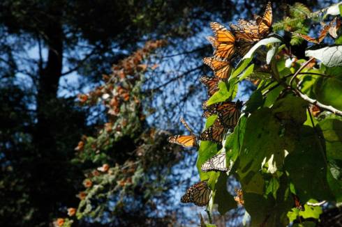 Download to your phone, tablet, laptop on Amazon.com, Amazon.com.mx; Barnes and Noble, bn.com; Kobo.com (now includes sony Readers) and on Google Play. Search William J. Conaway.