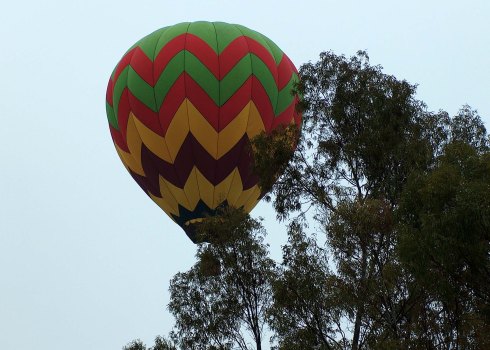 Download to your phone, tablet, laptop on Amazon.com, Amazon.com.mx; Barnes and Noble, bn.com; Kobo.com (now includes sony Readers) and on Google Play. Search William J. Conaway.