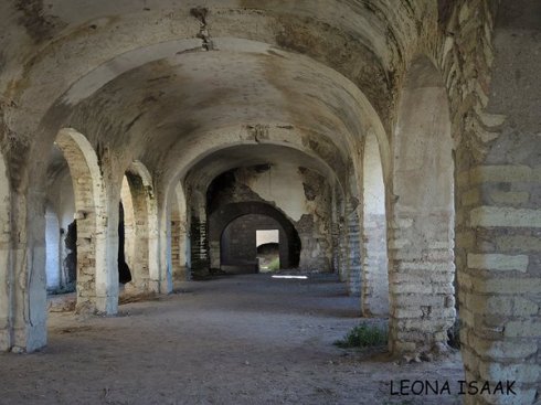 Download to your phone, tablet, laptop on Amazon.com, Amazon.com.mx; Barnes and Noble, bn.com; Kobo.com (now includes sony Readers) and on Google Play. Search William J. Conaway.