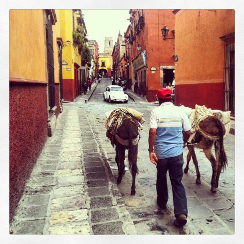 Download on to your  computer, phone,  tablet, iPad on Amazon.com; Amazon.com.mx; Barnes and Noble.com; Kobo.com; and Google Play. Search William J. Conaway