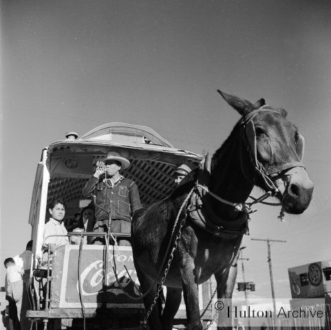 Download to your phone, tablet, laptop on Amazon.com, Amazon.com.mx; Barnes and Noble, bn.com; Kobo.com (now includes sony Readers) and on Google Play. Search William J. Conaway.