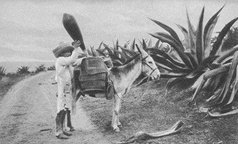 Download to your phone, tablet, laptop on Amazon.com, Amazon.com.mx; Barnes and Noble, bn.com; Kobo.com (now includes sony Readers) and on Google Play. Search William J. Conaway.