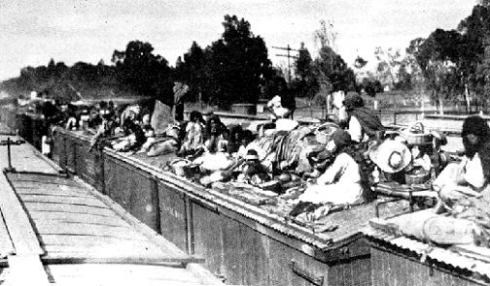 15079104_1452892664738644_5397735837178170905_n