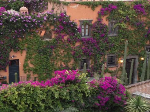 Download to your phone, tablet, laptop on Amazon.com, Amazon.com.mx; Barnes and Noble, bn.com; Kobo.com (now includes sony Readers) and on Google Play. Search William J. Conaway.