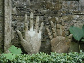 186508061_4499429640084916_77813297410636757_n