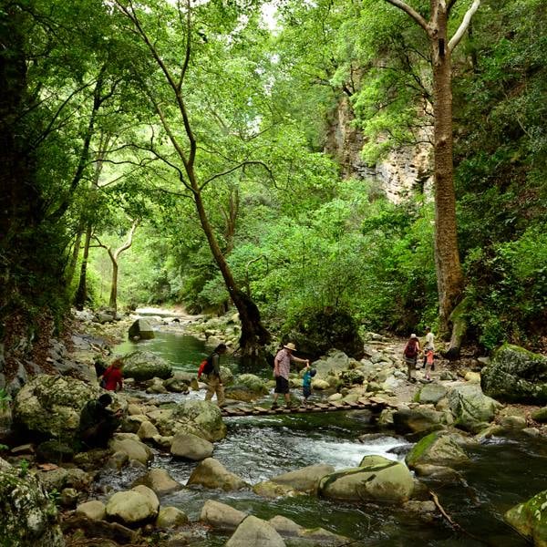 186553399_4505709879456892_6493615654904374352_n