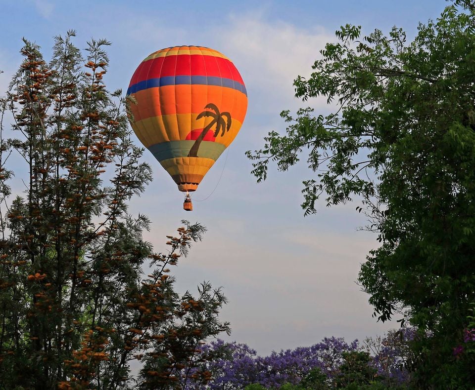 205328800_4601506019877277_5579044646676139060_n