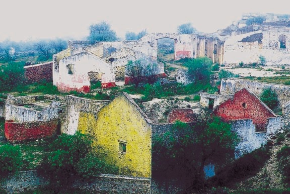 206147588_4630990416928837_1164081213625810360_n