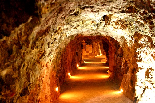 237214835_4752545901439954_2591785176293413991_n