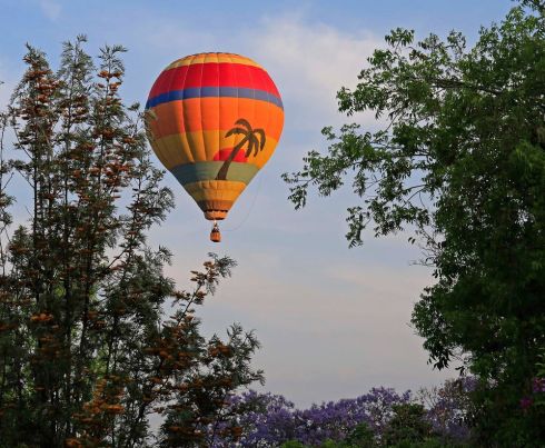 11041150_1434147910215731_4319494326726011298_o