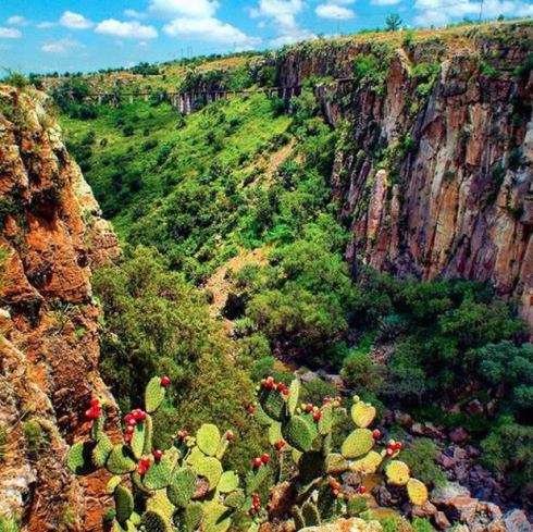 268642058_5230102770350929_5136017518092669792_n