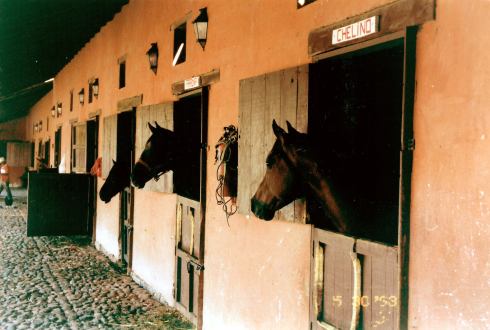 270790766_5272126626148543_8229361098327043037_n