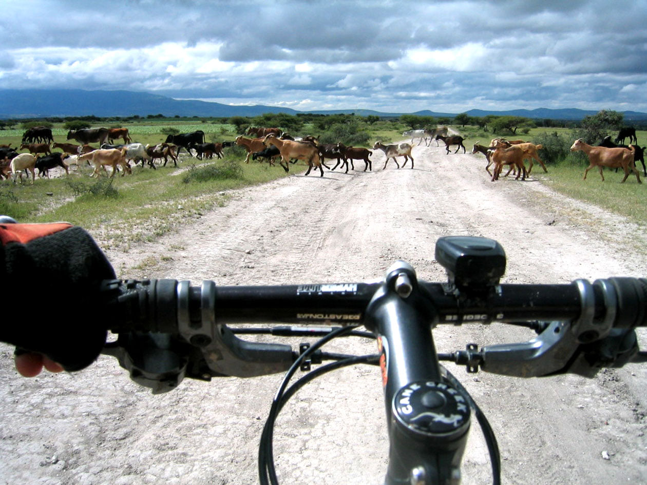 271489977_5248211238540082_6257418769539803504_n