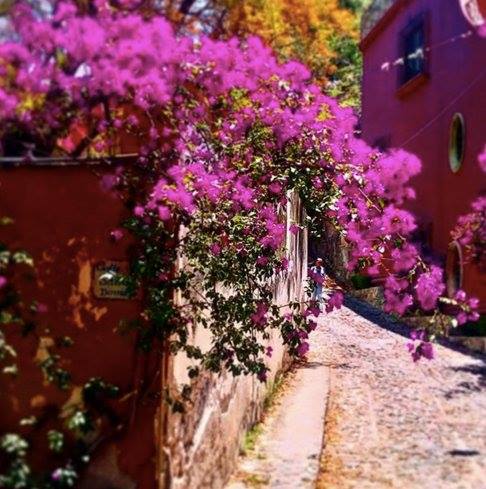 47684937_2113000465424802_8750560978686443520_n