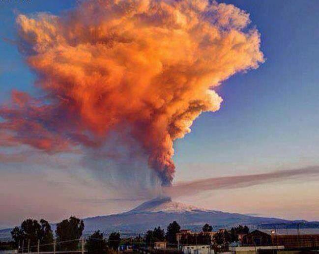 248214_10151615018109456_1275104627_n