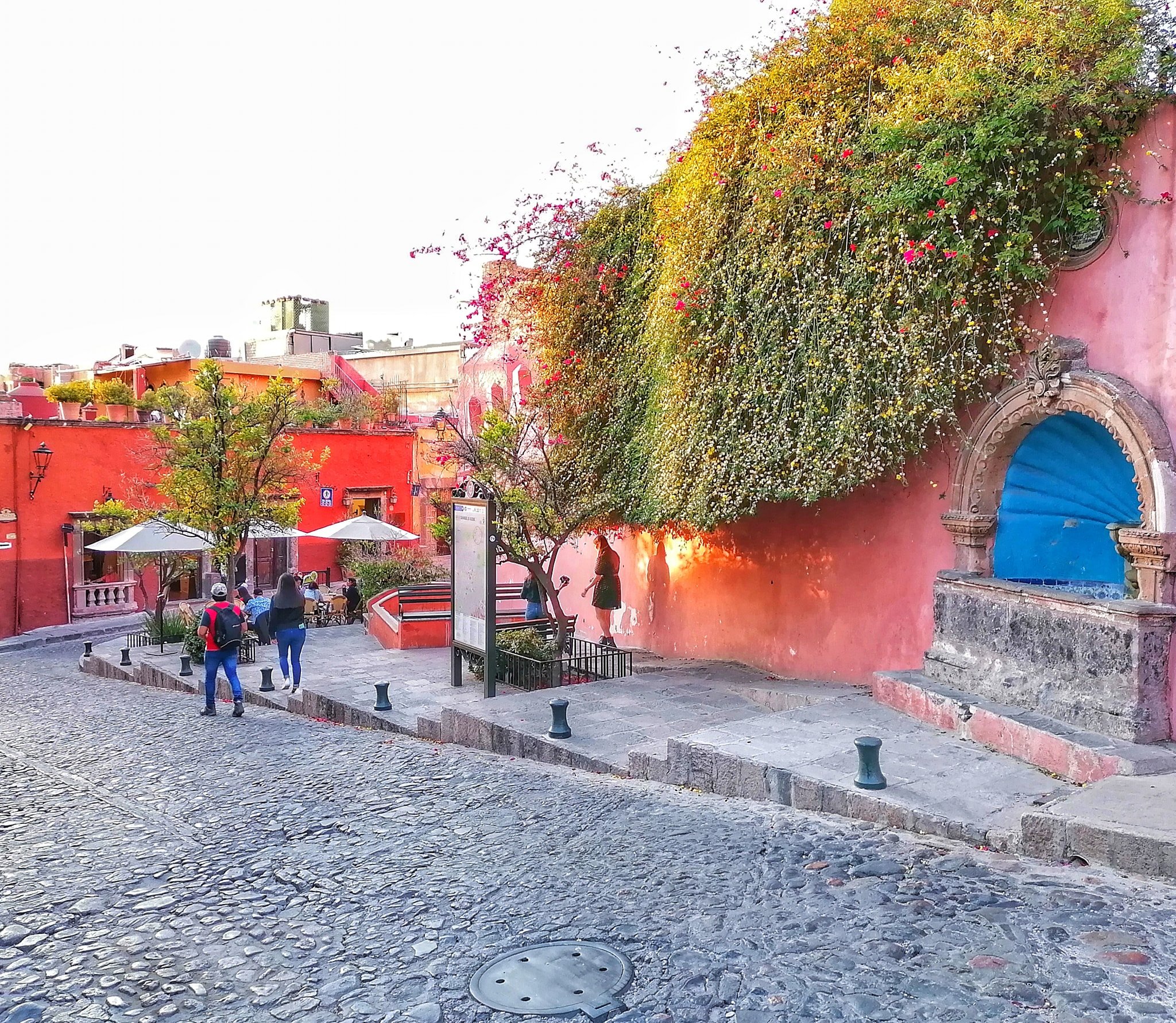 290799730_5776528419041692_6518077830178462991_n