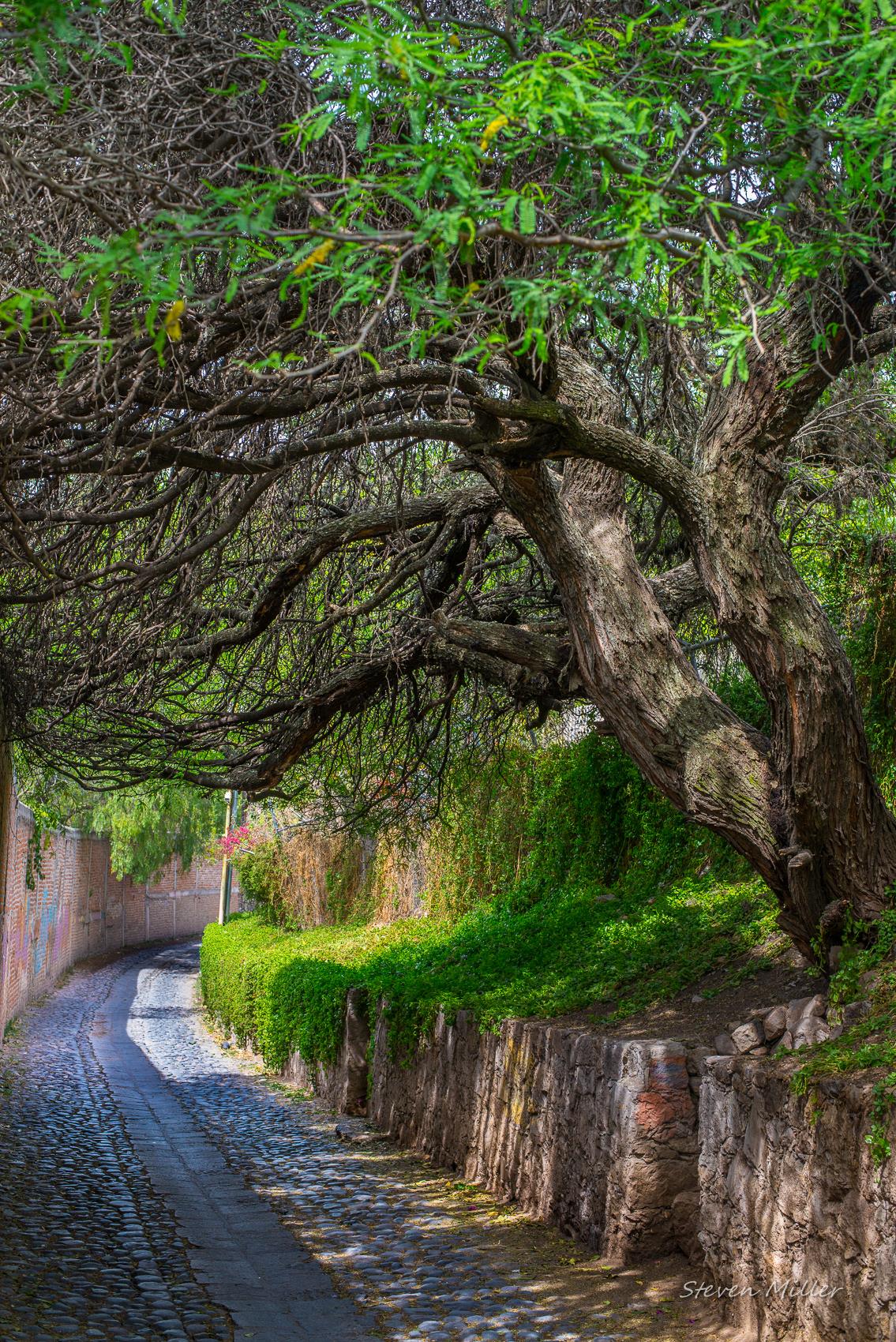 12916782_10153508482638321_4006455123329124568_o