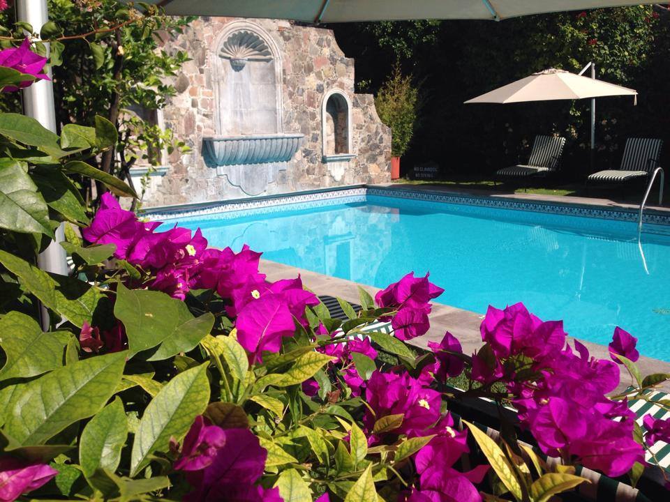 15241164_1267938443264346_6896390776368861124_n