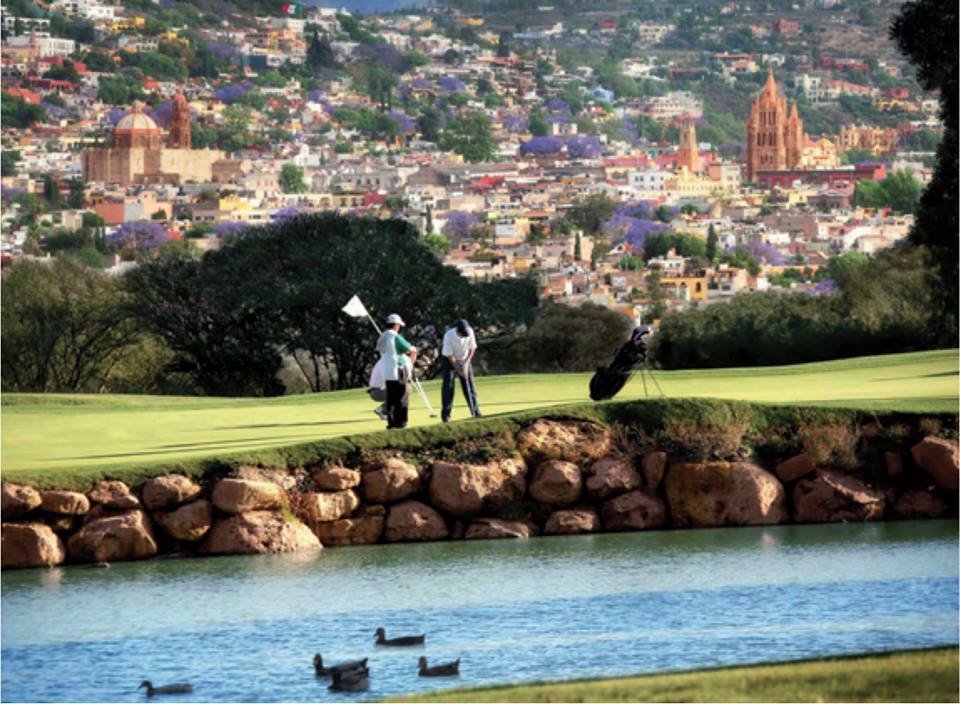 293278453_455807706552807_2452545631503150238_n