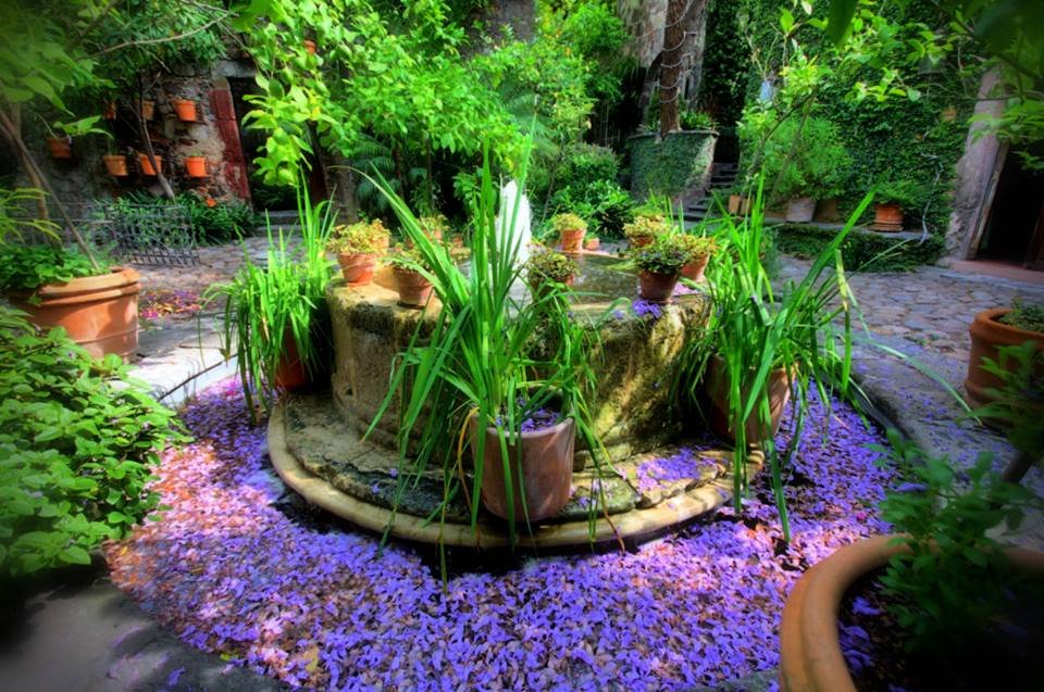 293843293_457511726382405_3888547522166310943_n