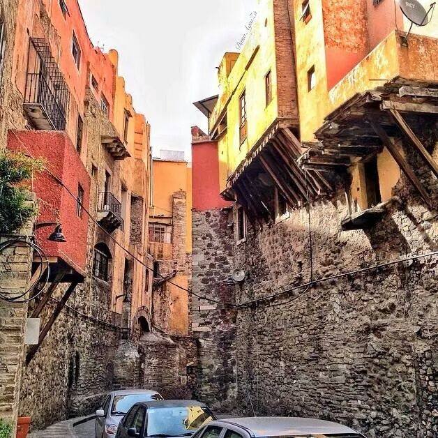 302600520_5615476815177132_5758862818451705844_n