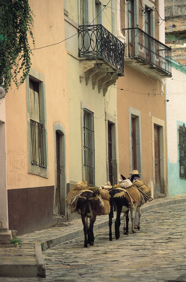 561752_447096398681892_436245805_n